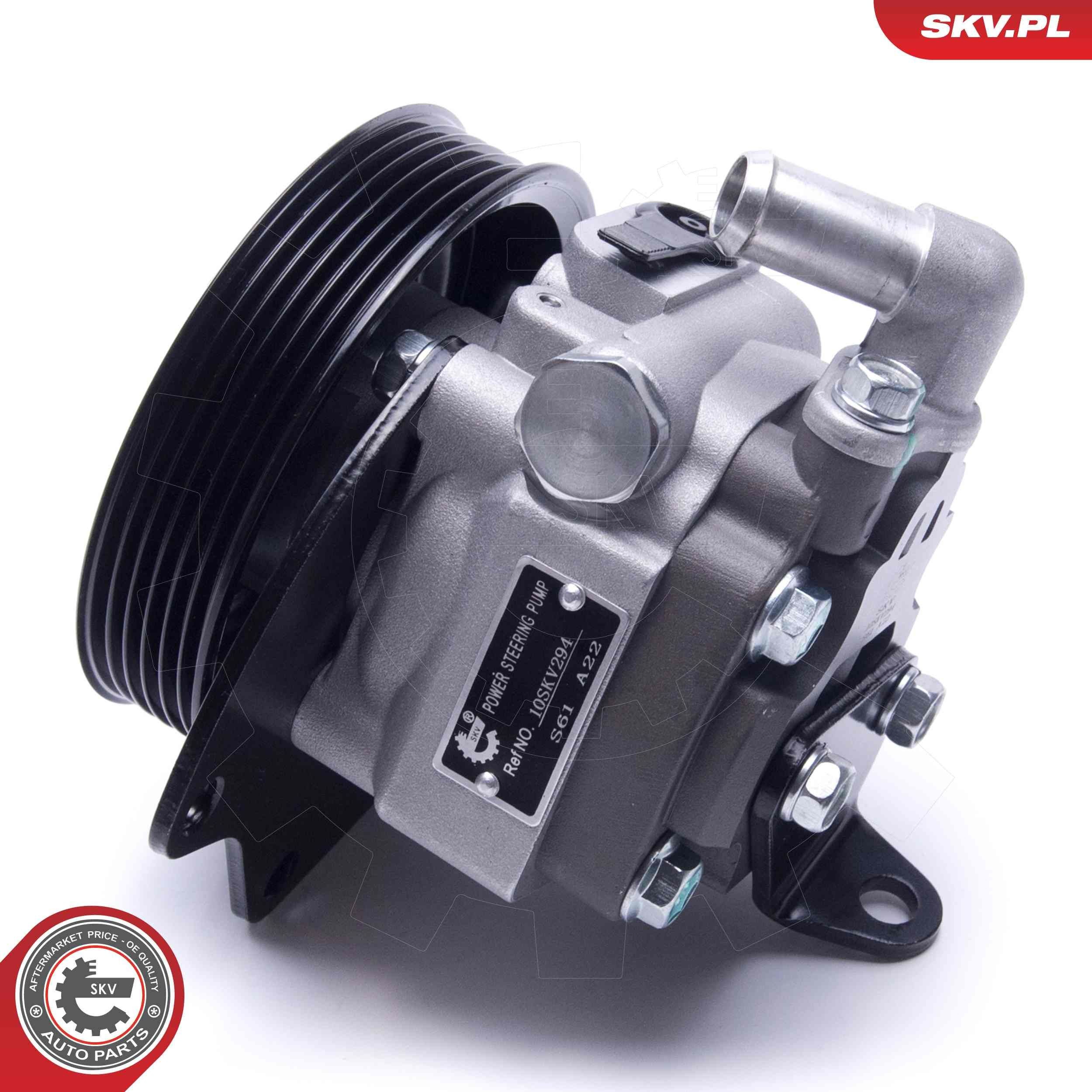 10SKV294 SKV